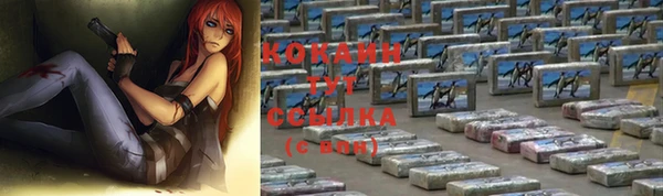 гидра Алексин