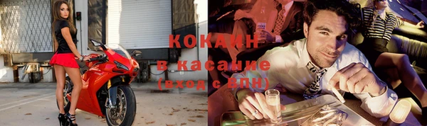 гидра Алексин