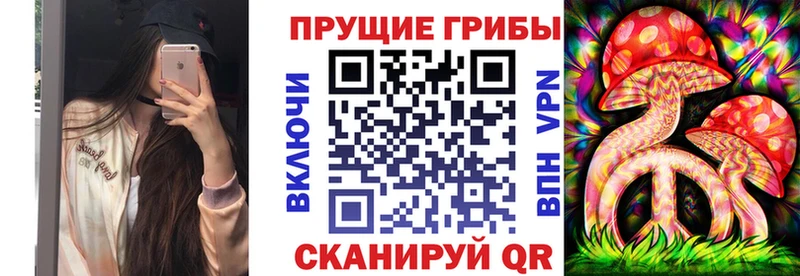 Псилоцибиновые грибы Psilocybe  Александров 